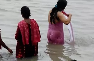XXX Vội vã chó ướt