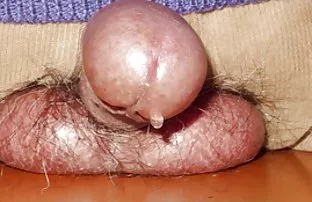 XXX Và âm hộ hai bạn gái trong nhà bếp