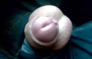 XXX Quan hệ với đôi khe Monica